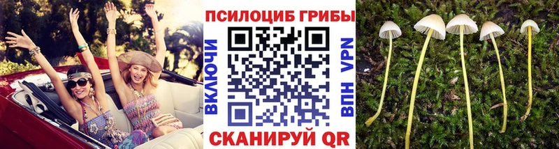 Галлюциногенные грибы GOLDEN TEACHER купить сайты Нижнеудинск