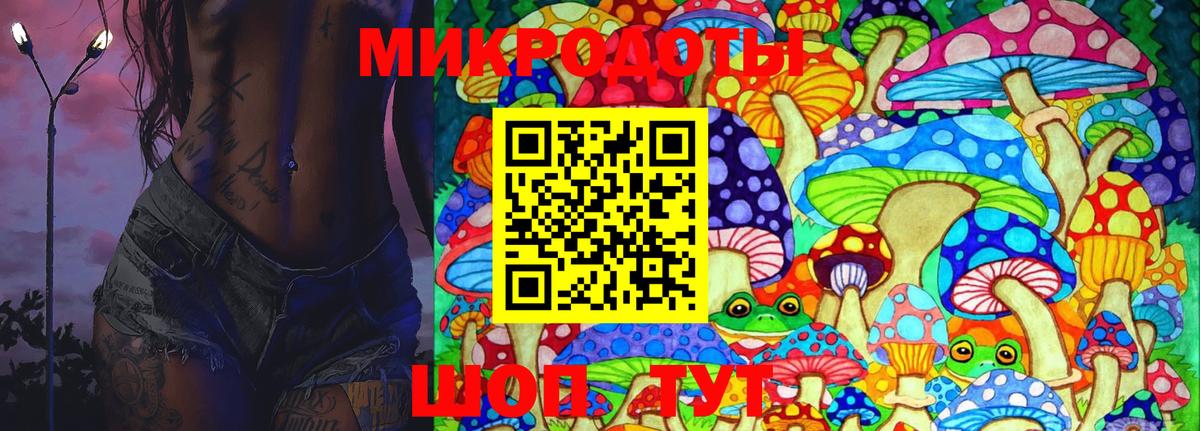 Галлюциногенные грибы Psilocybine cubensis Нижнеудинск