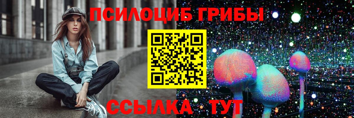 Нижнеудинск  Псилоцибиновые грибы Cubensis  Вход с VPN 